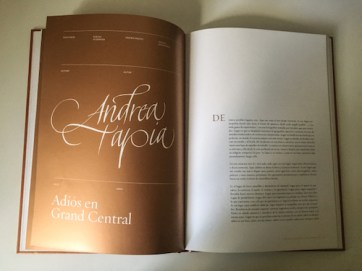 Andrea-Tapia-Short-Stories